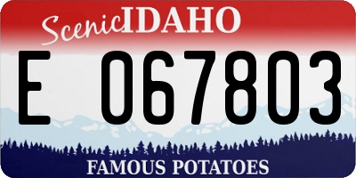 ID license plate E067803