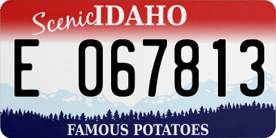 ID license plate E067813