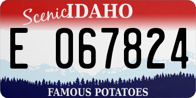 ID license plate E067824