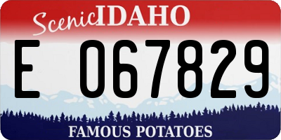 ID license plate E067829