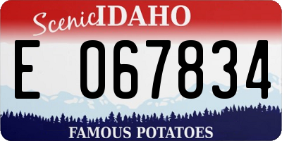 ID license plate E067834