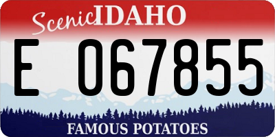 ID license plate E067855