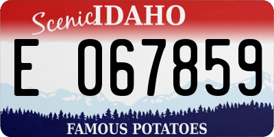 ID license plate E067859