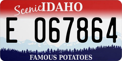 ID license plate E067864