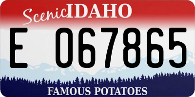 ID license plate E067865