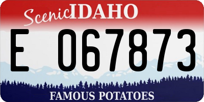 ID license plate E067873