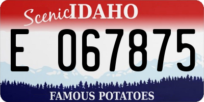 ID license plate E067875