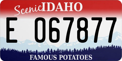 ID license plate E067877