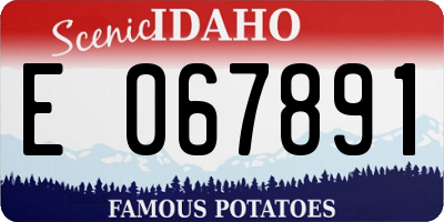 ID license plate E067891
