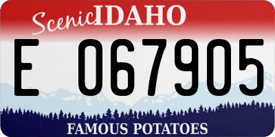 ID license plate E067905