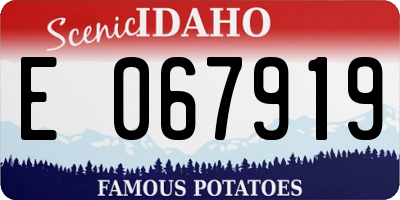 ID license plate E067919