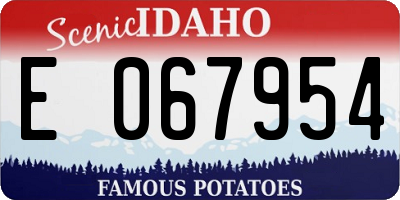 ID license plate E067954