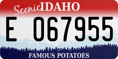 ID license plate E067955