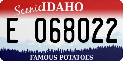 ID license plate E068022