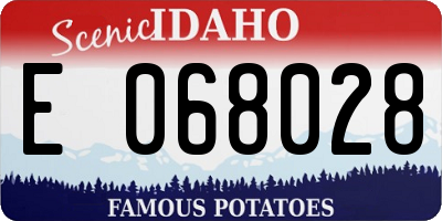 ID license plate E068028