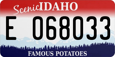 ID license plate E068033