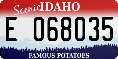 ID license plate E068035