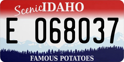 ID license plate E068037