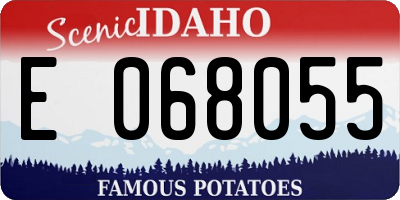 ID license plate E068055