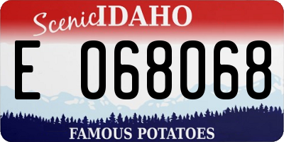 ID license plate E068068