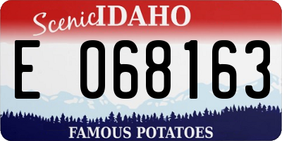 ID license plate E068163