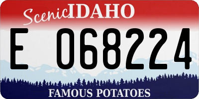 ID license plate E068224