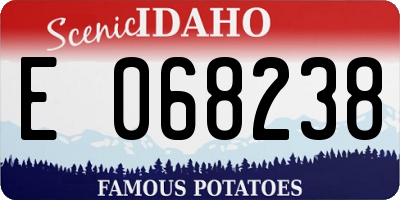ID license plate E068238