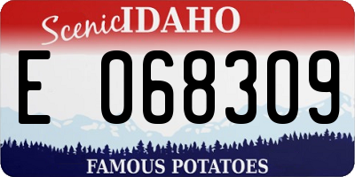 ID license plate E068309