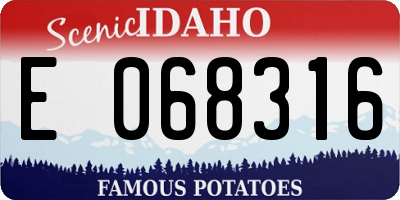 ID license plate E068316