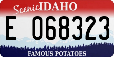 ID license plate E068323