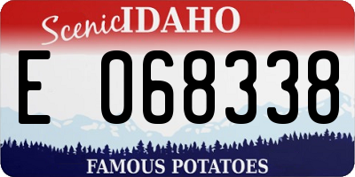 ID license plate E068338
