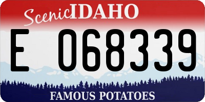 ID license plate E068339
