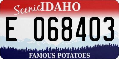 ID license plate E068403