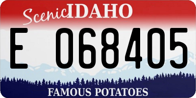 ID license plate E068405