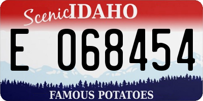 ID license plate E068454