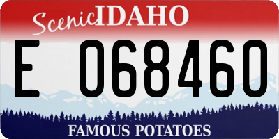 ID license plate E068460
