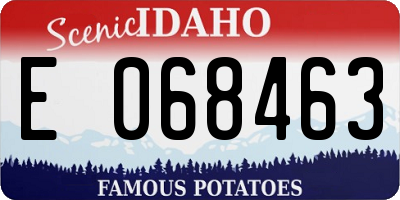 ID license plate E068463