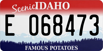 ID license plate E068473