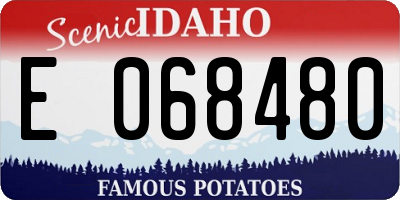 ID license plate E068480