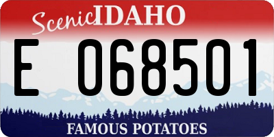 ID license plate E068501