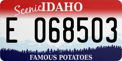 ID license plate E068503