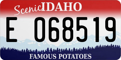ID license plate E068519
