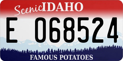 ID license plate E068524