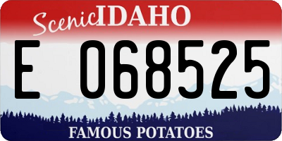 ID license plate E068525