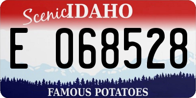 ID license plate E068528
