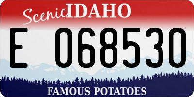 ID license plate E068530