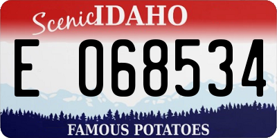 ID license plate E068534