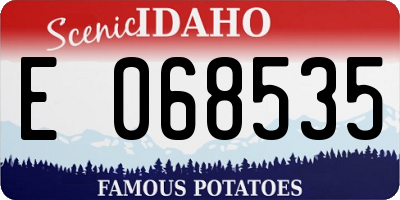 ID license plate E068535