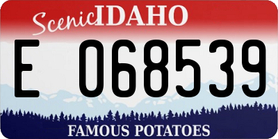 ID license plate E068539