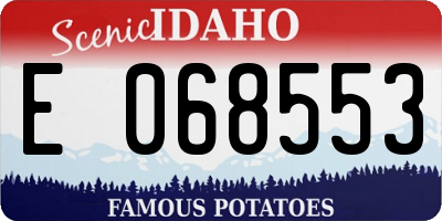 ID license plate E068553
